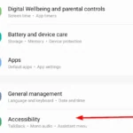 Ảnh chụp màn hình menu Cài đặt, hiển thị tùy chọn Trợ năng để truy cập các tính năng hỗ trợ