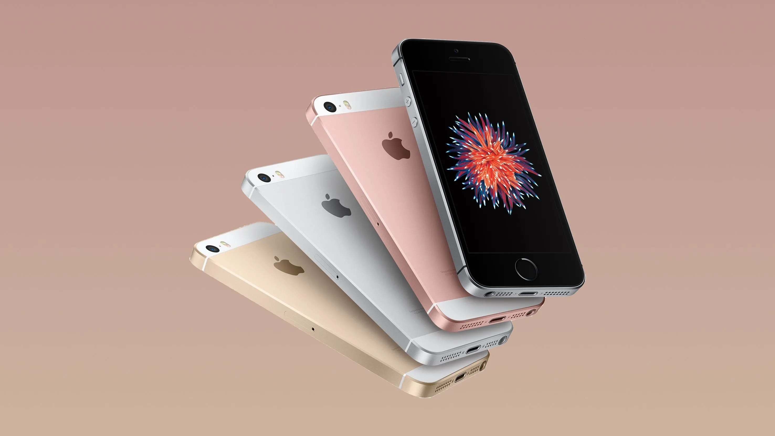 Bốn chiếc iPhone SE thế hệ đầu tiên với các màu sắc khác nhau được sắp xếp tỏa tròn
