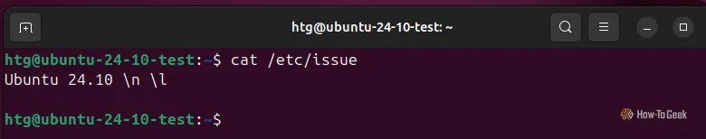 Cửa sổ Terminal của Ubuntu hiển thị kết quả lệnh cat /etc/issue, cho biết phiên bản hệ điều hành là 24.10.