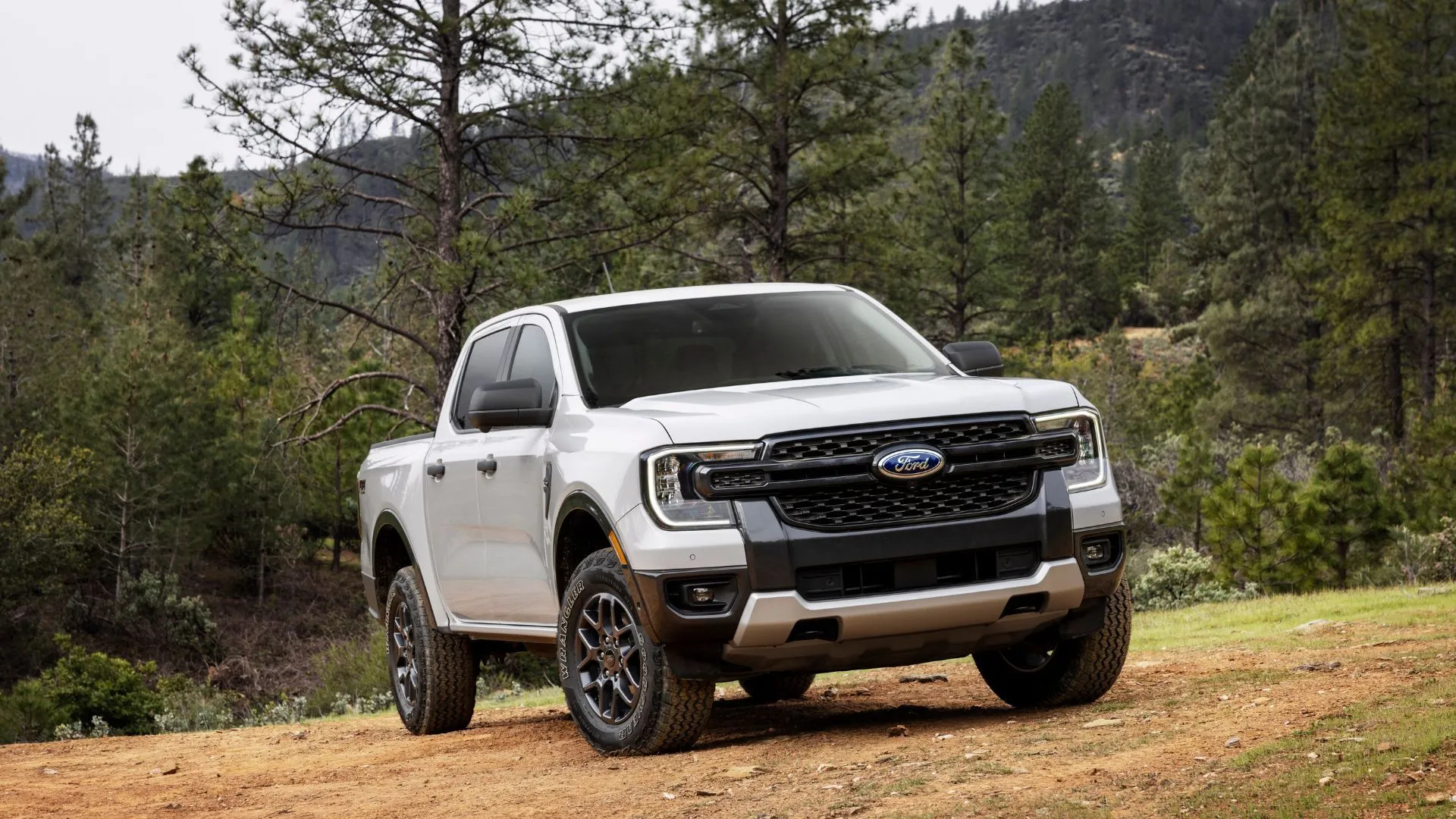Ford Ranger 2024 màu trắng đỗ trên bãi cỏ, minh họa cho các đợt triệu hồi xe Ford.