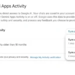 Giao diện cài đặt Hoạt động ứng dụng Gemini, nơi người dùng có thể quản lý lịch sử trò chuyện và quyền riêng tư của trợ lý AI Google.