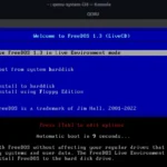 Giao diện FreeDOS đang chạy bên trong môi trường giả lập QEMU.