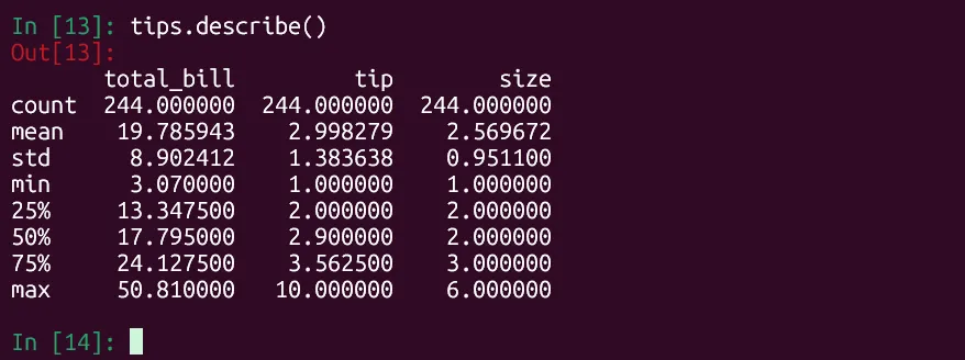 Hiển thị thống kê mô tả tập dữ liệu 'tips' với Pandas trong Python