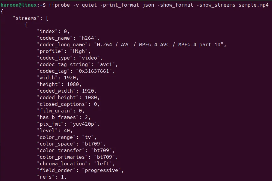 Hiển thị thông tin video ở định dạng JSON chuẩn trong cửa sổ terminal.
