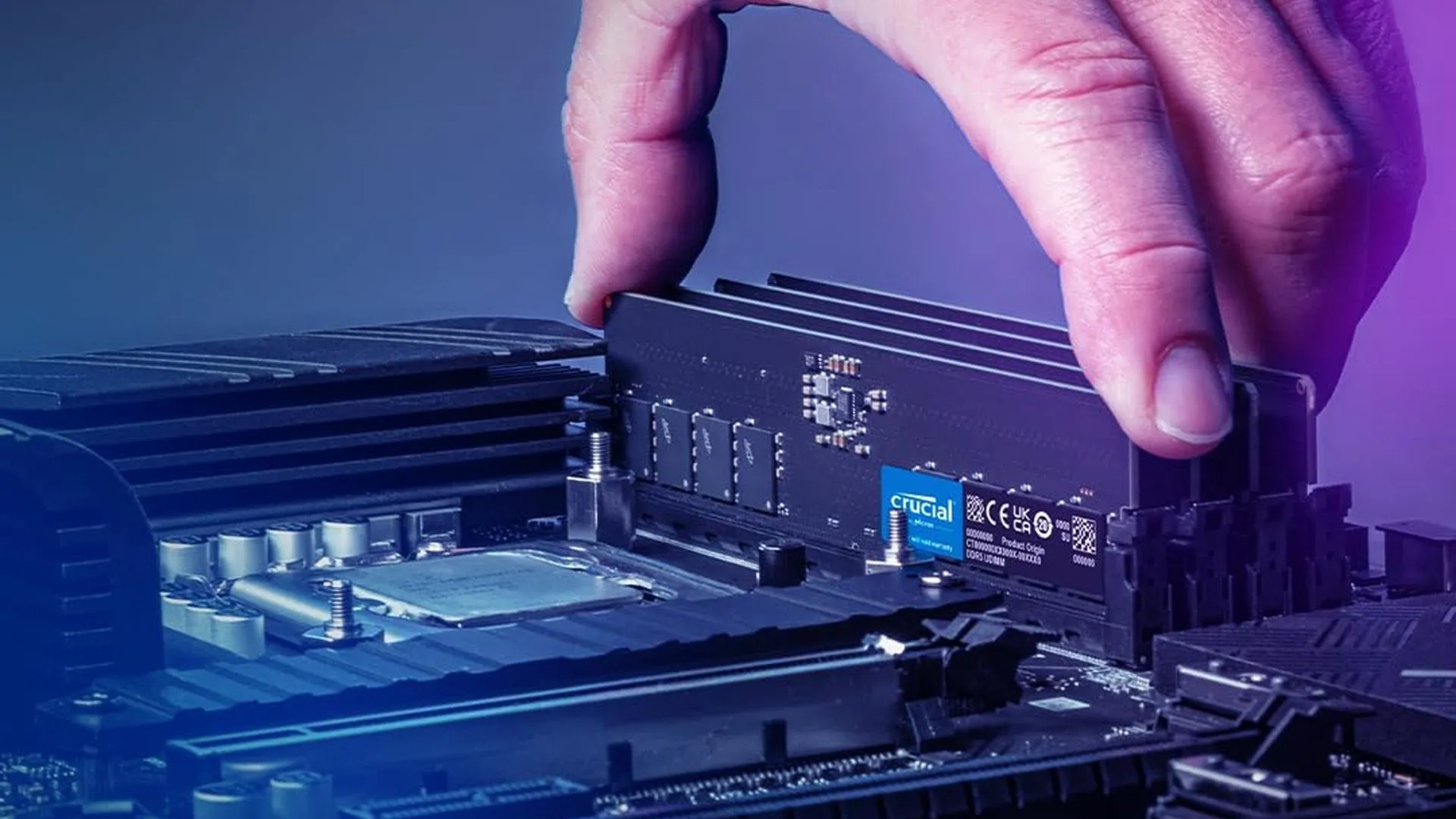 Hình ảnh một bộ RAM Crucial DDR5 đang được lắp đặt vào khe cắm trên bo mạch chủ, minh họa quá trình nâng cấp RAM cho PC.