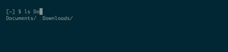 Kết quả tự động hoàn thành &quot;Documents&quot; và &quot;Downloads&quot; khi gõ &quot;ls Do&quot; trên zsh macOS