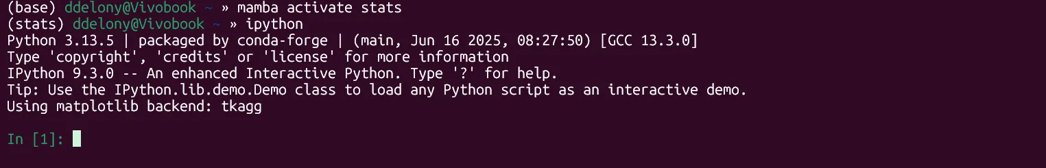 Kích hoạt môi trường Mamba 'stats' và khởi động IPython trong Terminal Linux