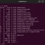 Kiểm tra phân vùng ổ đĩa trên Linux bằng lệnh lsblk