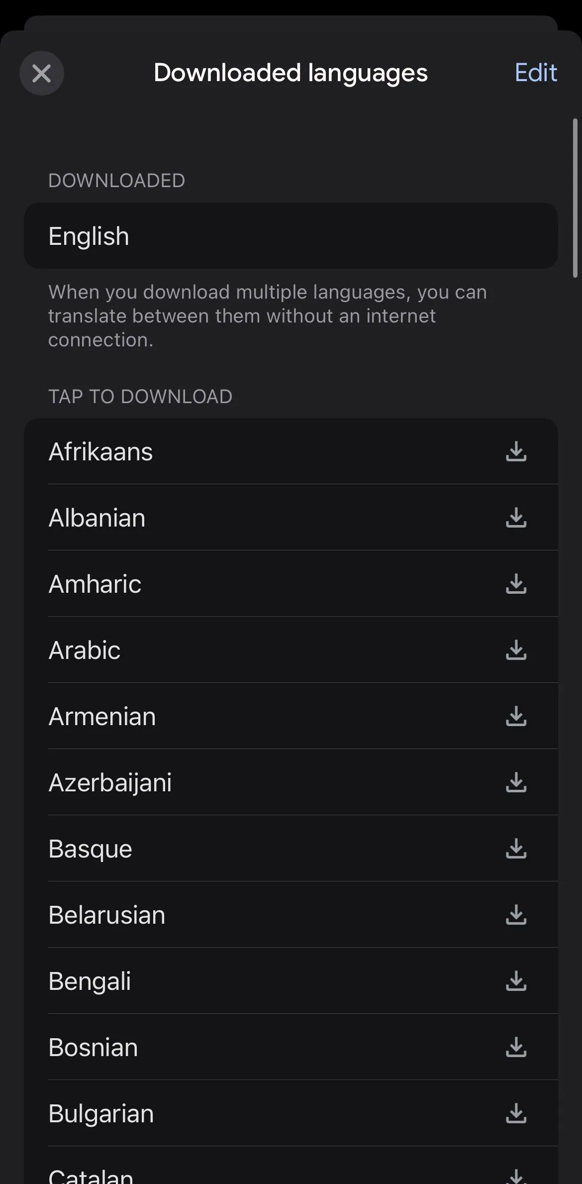 Màn hình quản lý các ngôn ngữ đã tải xuống để dịch ngoại tuyến trên ứng dụng Google Translate.