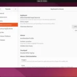 Màn hình ứng dụng GNOME Tweaks trên Ubuntu hiển thị các tùy chỉnh bàn phím và chuột.