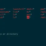 Minh họa lệnh ls trả về mã thoát 0 khi thành công và 1 khi thất bại trong terminal Linux
