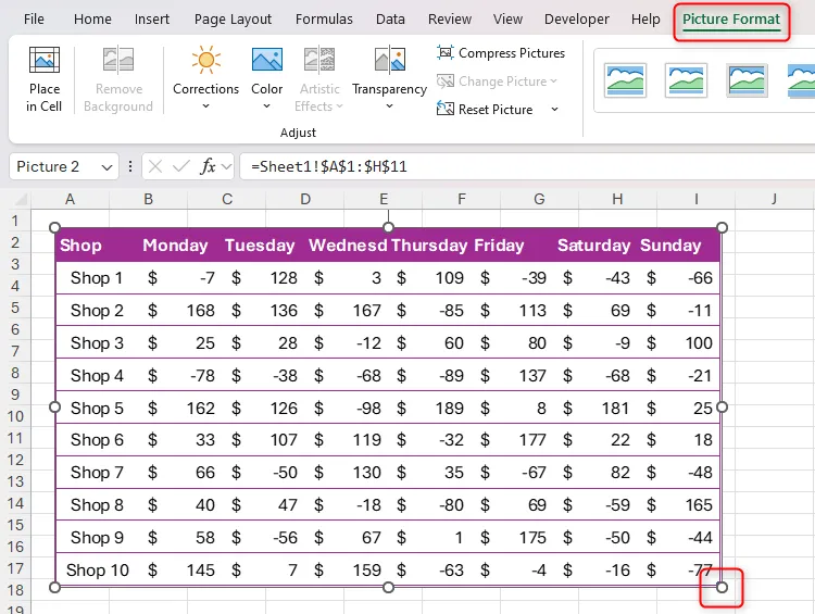 Một bộ dữ liệu Excel được nhân đôi bằng công cụ Camera, hiển thị các tay cầm để thay đổi kích thước và tab &quot;Picture Format&quot; để tùy chỉnh.
