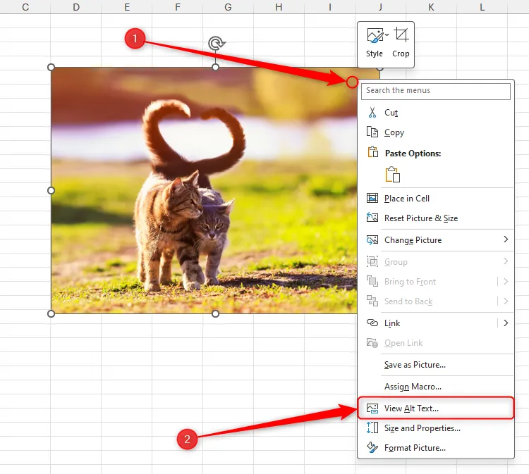 Một trang tính Excel hiển thị ảnh minh họa, với menu chuột phải đang mở và tùy chọn View Alt Text được chọn.