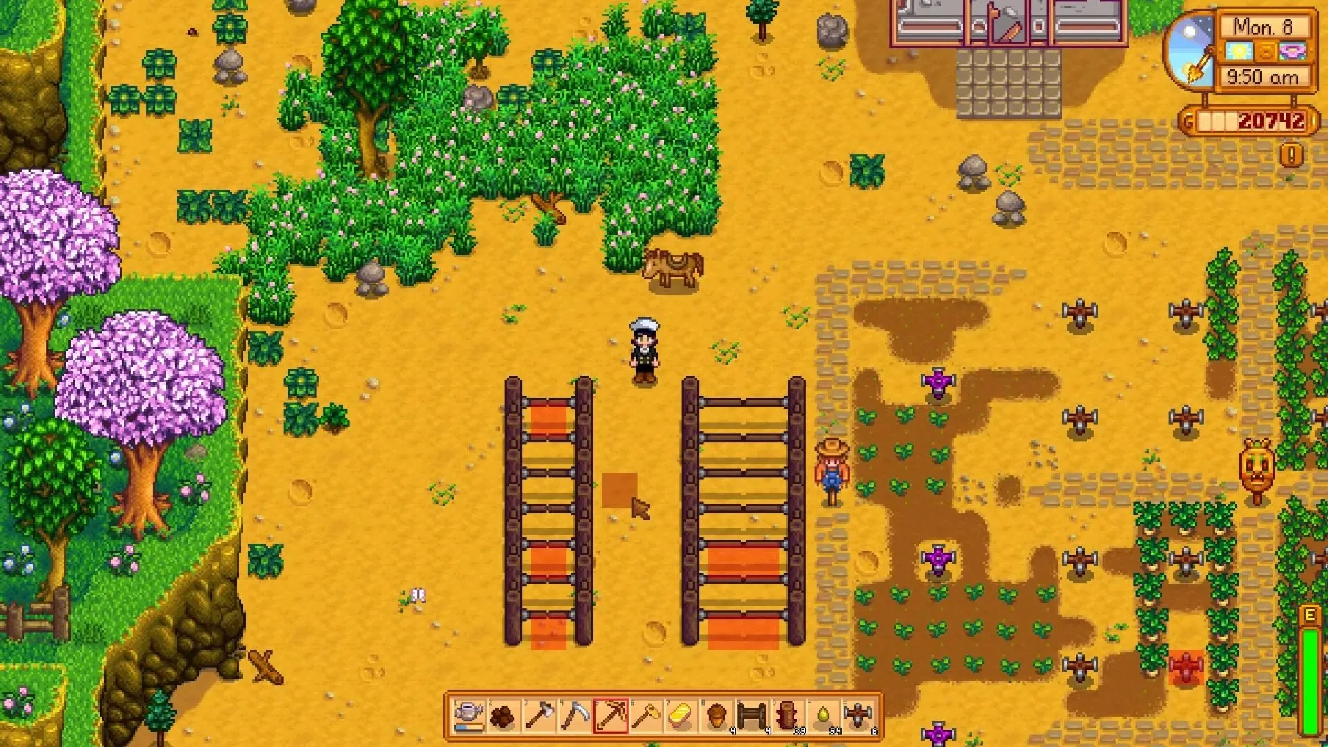 Người chơi đứng trước hàng rào cổng trên nông trại Stardew Valley của mình, minh họa mod Automatic Gates.
