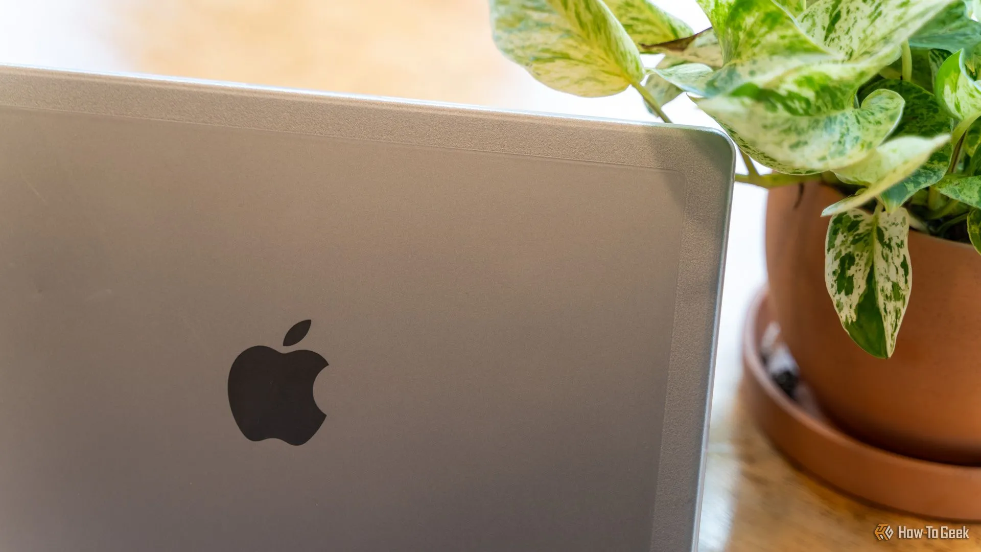 Ốp lưng Incase Edge Hardshell Case trên MacBook Pro với cây xanh phía sau, thể hiện thiết kế tinh tế.