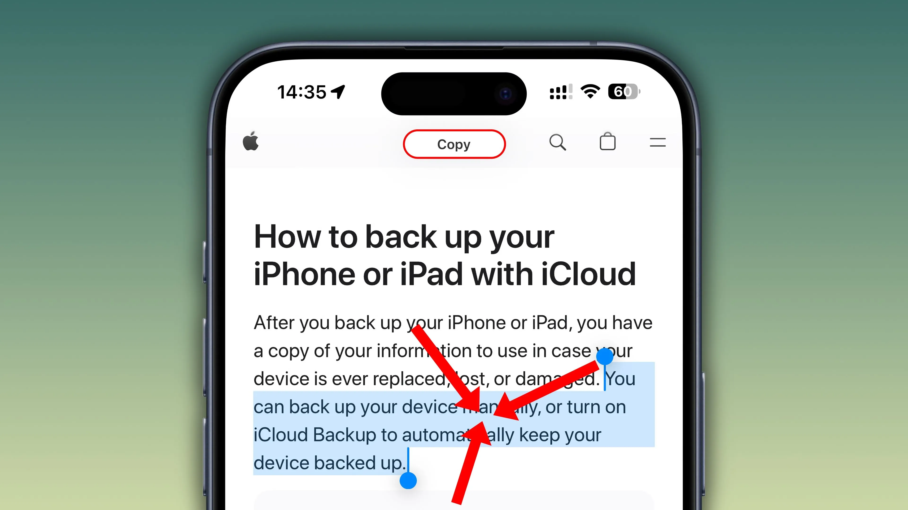 Sao chép văn bản trên Safari iPhone bằng cử chỉ chụm ba ngón tay.