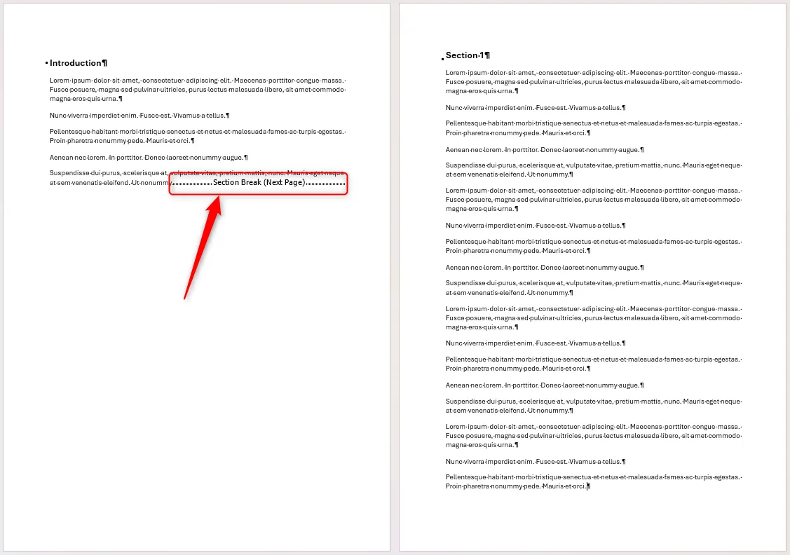 Tài liệu Word với hai phần được phân tách bằng Next Page Section Break.