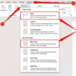 Thẻ Breaks trong Microsoft Word với tùy chọn Page Break và Next Page Section Break được đánh dấu.