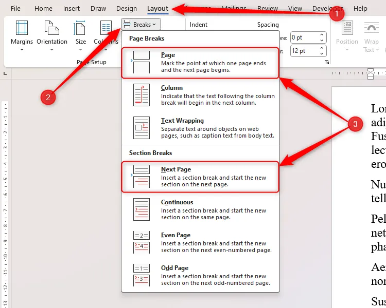 Thẻ Breaks trong Microsoft Word với tùy chọn Page Break và Next Page Section Break được đánh dấu.
