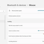 Tùy chọn "Cuộn cửa sổ không hoạt động khi di chuột qua" trong cài đặt Chuột trên Windows 11.