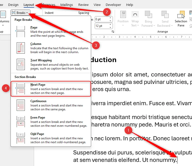 Tùy chọn Next Page Section Break trong Microsoft Word để tạo ngắt phần mới.